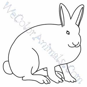 Arctic Hare Coloring Pages