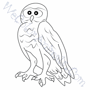 Burrowing Owl Coloring Pages