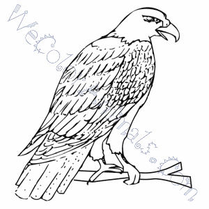 Mexican Eagle Coloring Pages