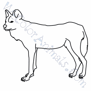 African Wild Dog Coloring Pages