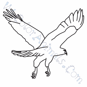 Red Tailed Hawk Coloring Pages